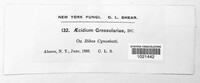 Image Associated With the Occurence